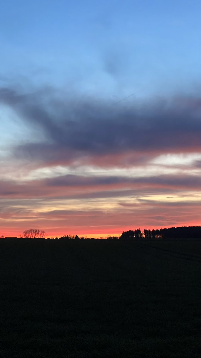 ★ fee ★ erectile dysfunction twt ★ tweet media