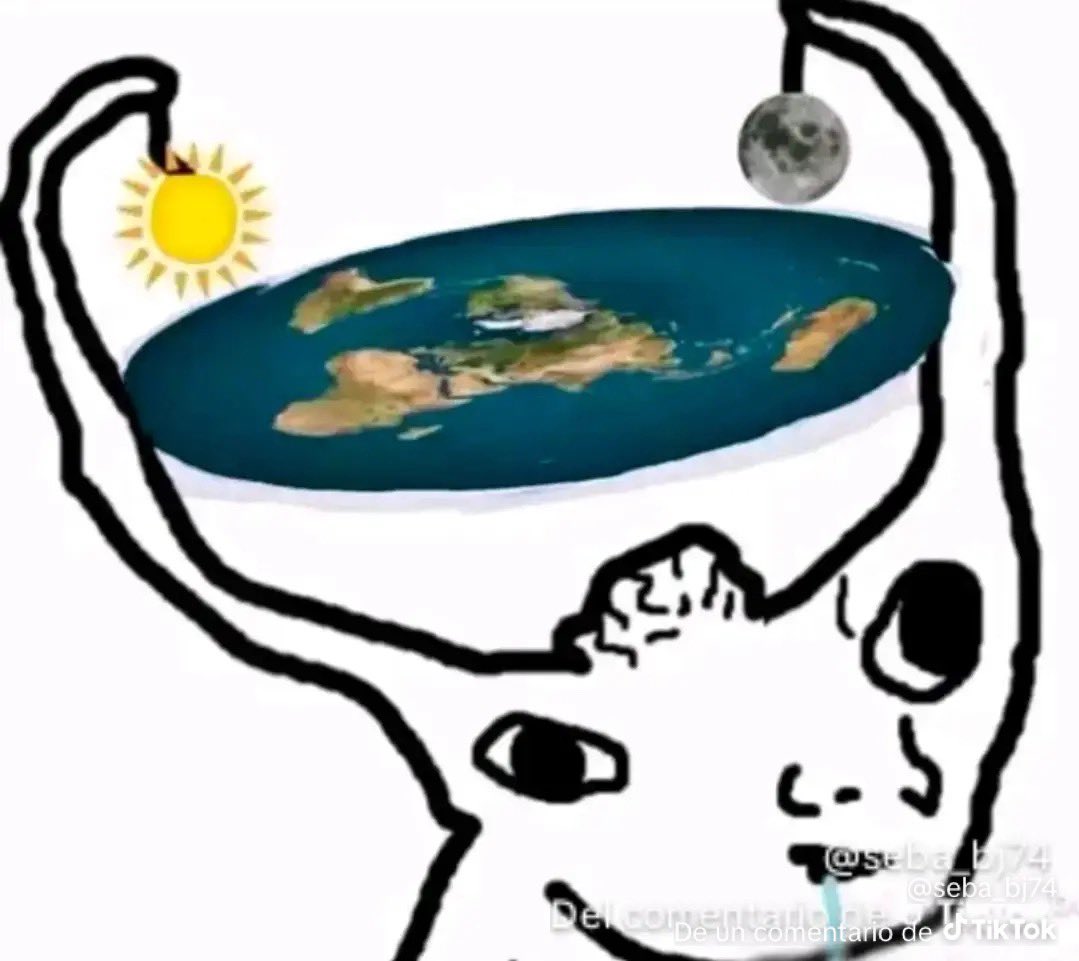 Señora E tweet media