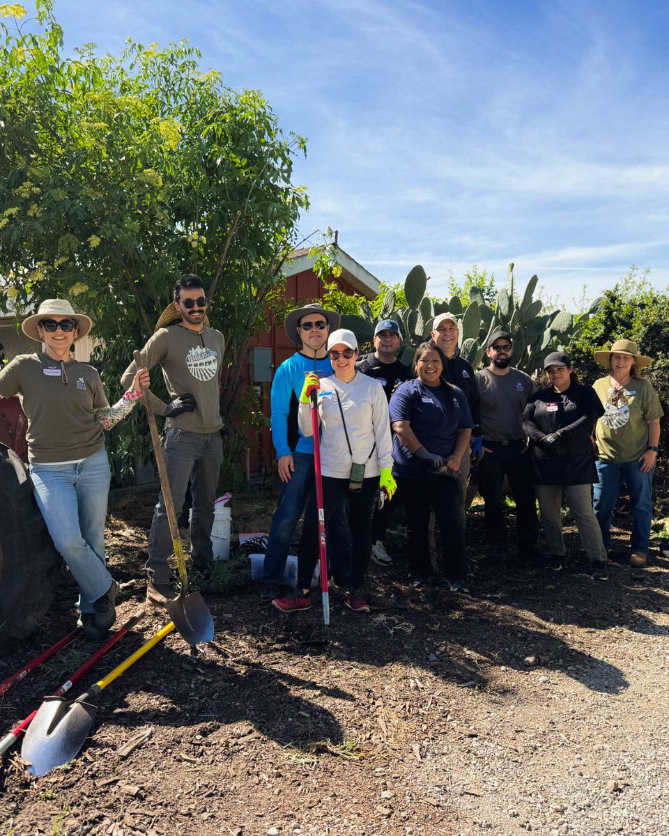 ticoroasters's tweet photo. We kicked off Earth Month with some volunteering! Thank you, Veggielution, for having us! The Tico Team had the opportunity to help with weed control to preserve the hedgerow and native plants at the farm.

#Veggielution #Volunteering #EmpowerProtectNourish #TicoCoffee #EarthDay https://t.co/ZlNNG69J1H