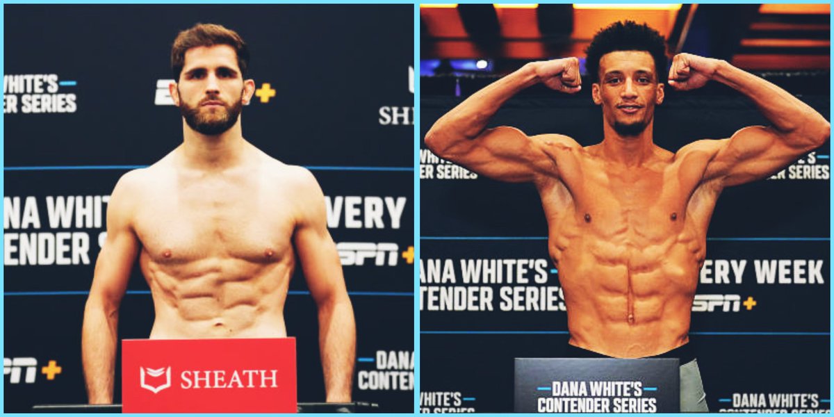 𝐦𝐚𝐧𝐧𝐲 𝐟𝐞𝐫𝐧𝐚𝐧𝐝𝐞𝐬 tweet media