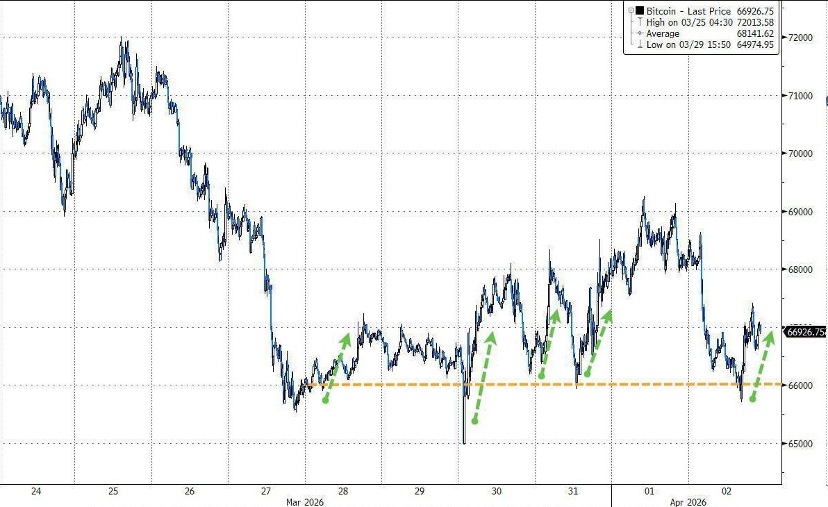 Herculis Gold Coin (XAUH) tweet media