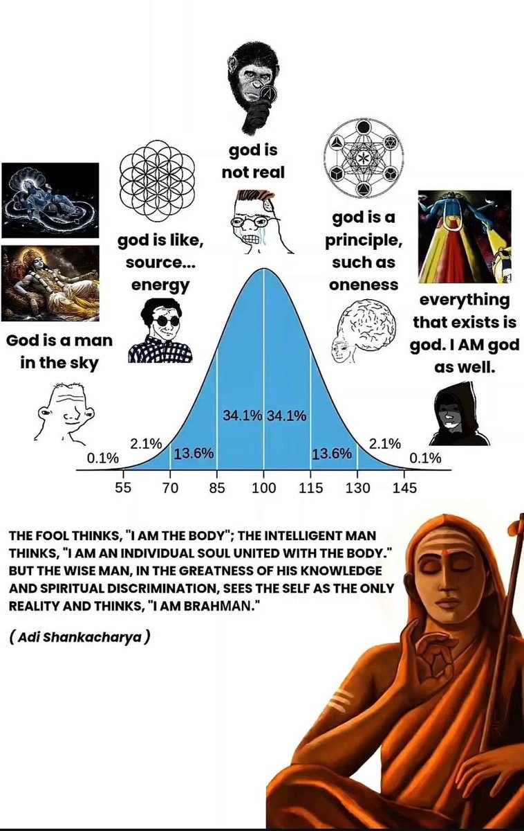 🐺 Anna 🦈 tweet media