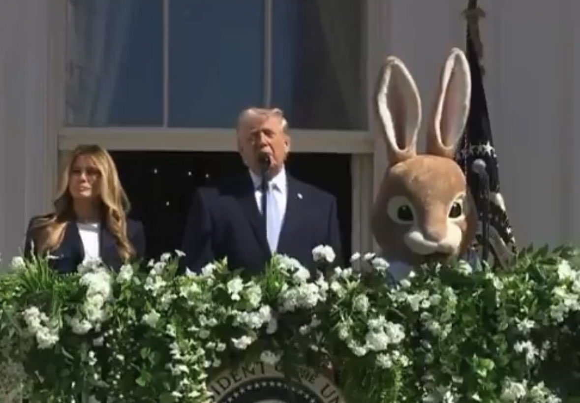 Nikhil Pal Singh tweet media