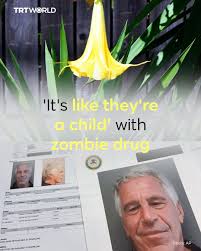 ⚡️Americas Oracle of Dolphins⚡️ tweet media