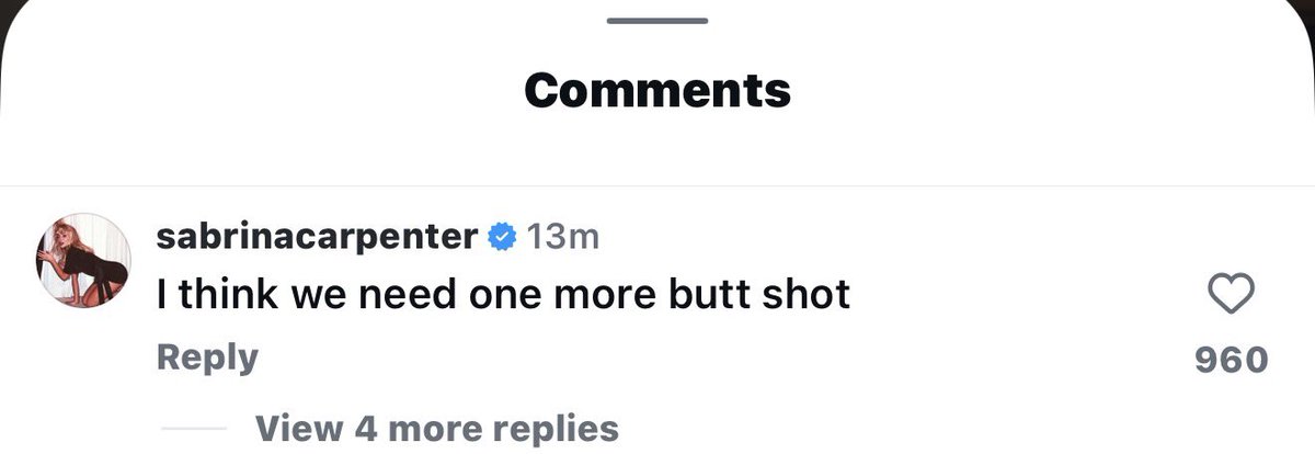 vicky 🐾 tweet media