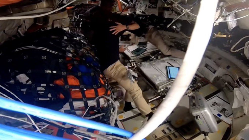 paige | #1 garsantos truther tweet media