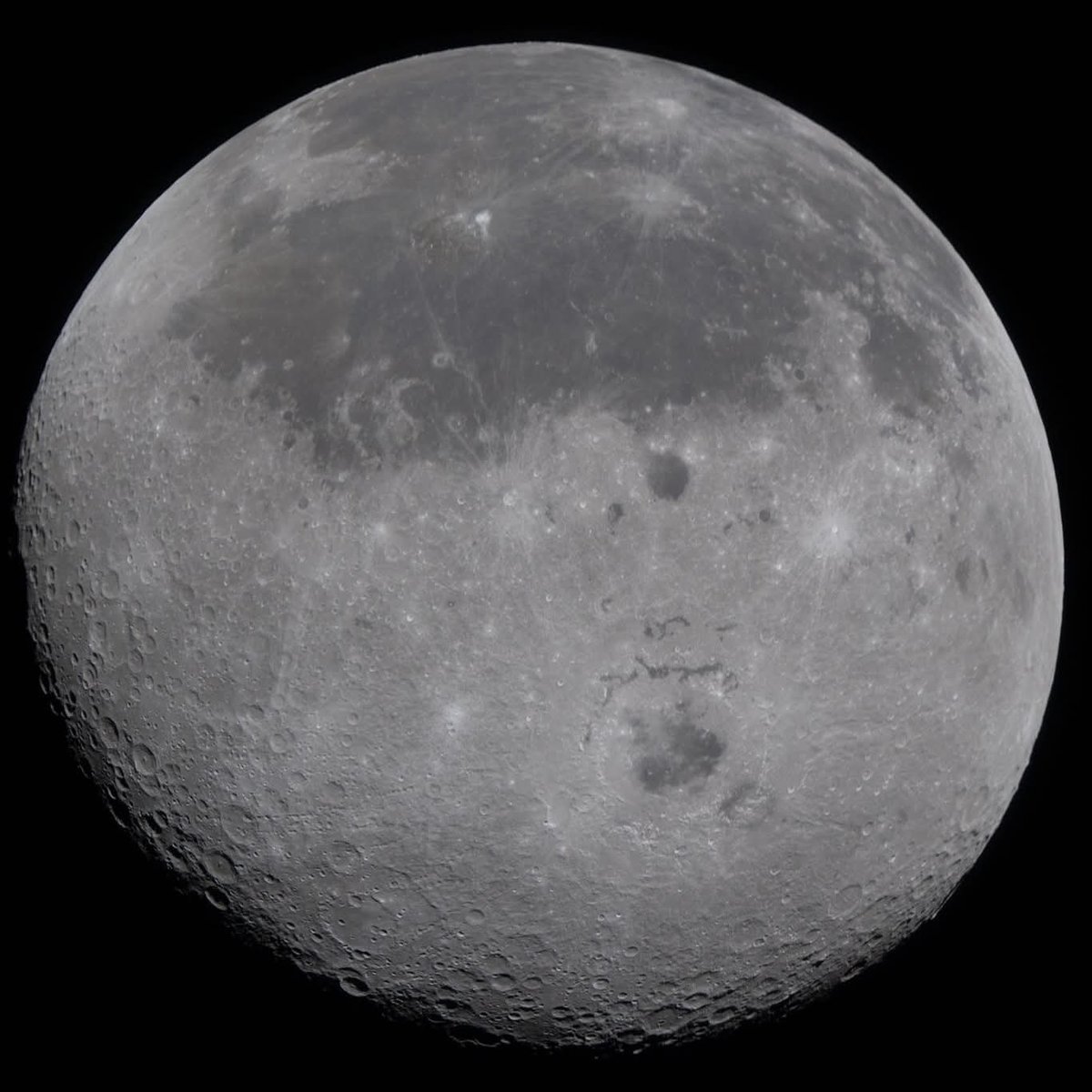 Andrea (AstroDanziger) Curzi tweet media