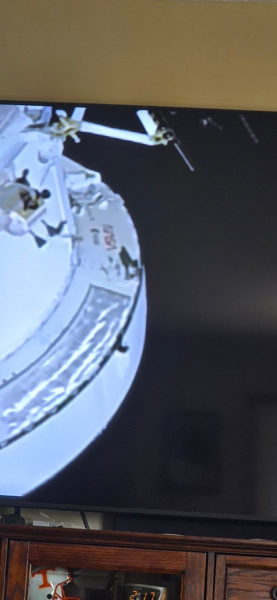 Volpool🍊🏍️ tweet media