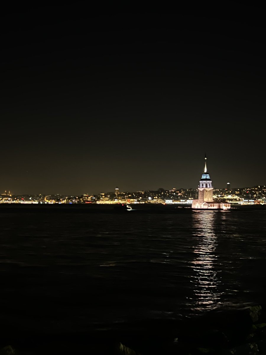 Bürküt. tweet media