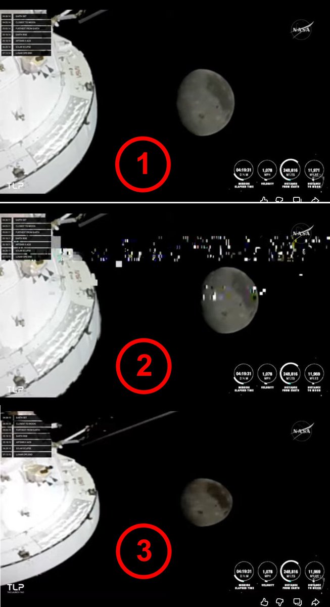 Tasteless Opinion tweet media