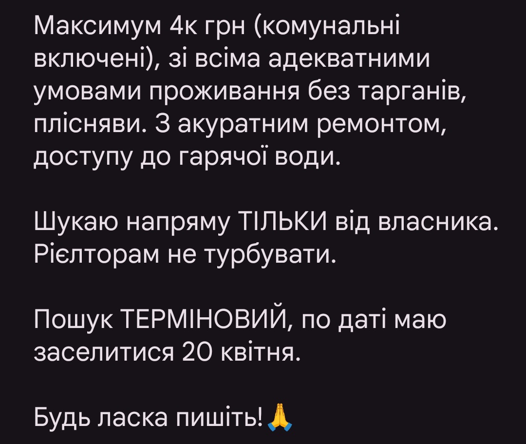 HABIT's rabbit🐰 tweet media