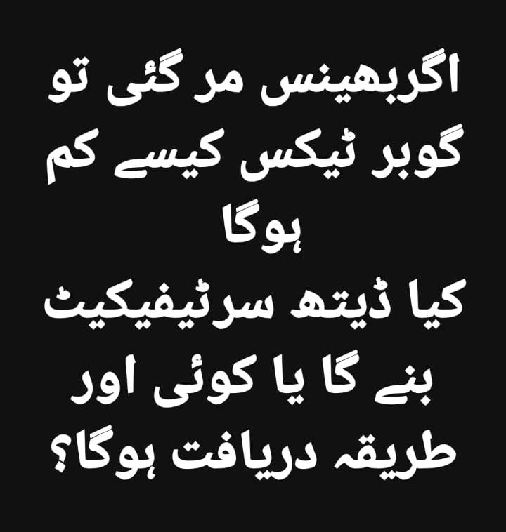 ⷶMαι∂αн Mυнαммα∂ tweet media