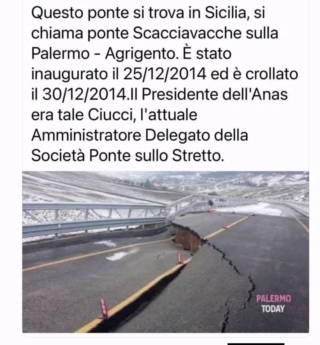 arabafenice tweet media