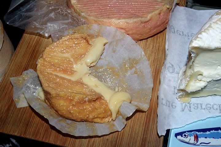 KuingYamang tweet media