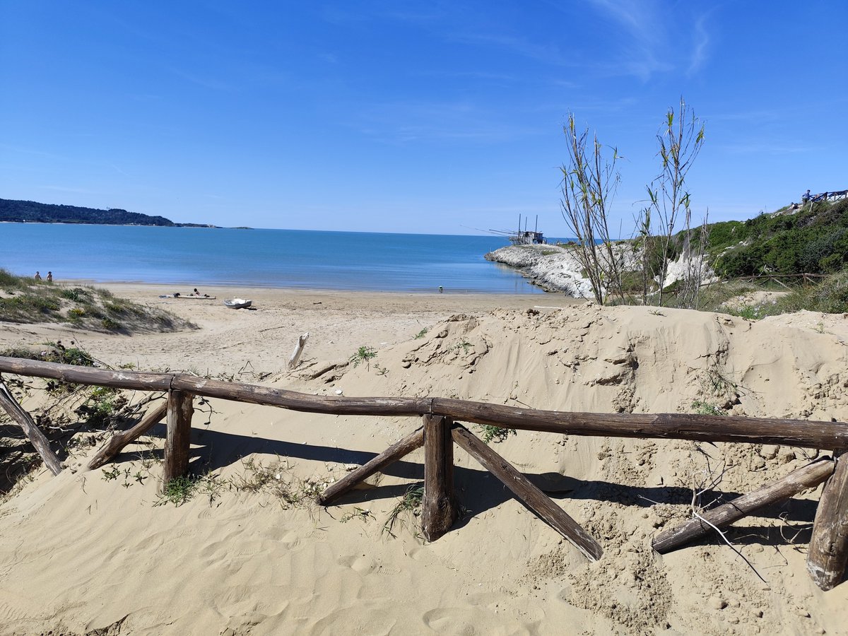 Limbolimbo Redpilled tweet media