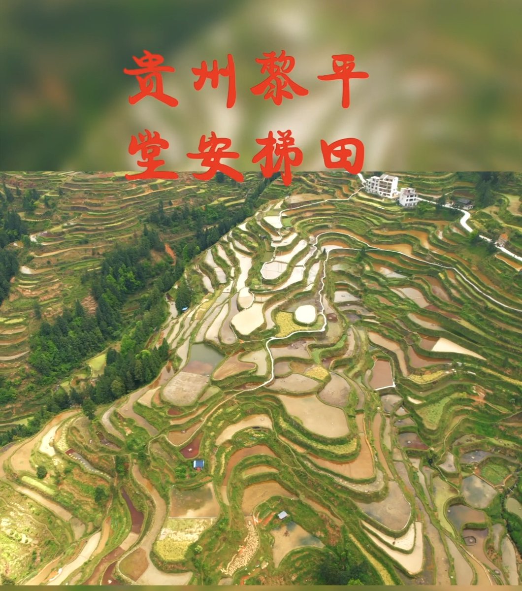 Judy Masters tweet media