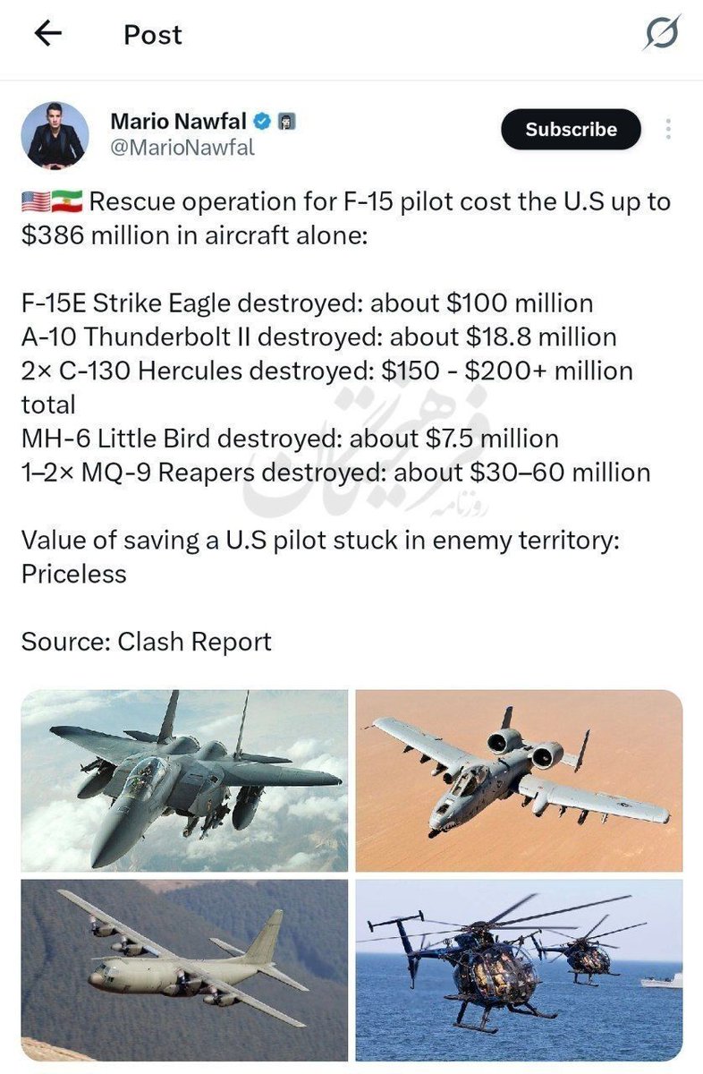 Cat 😺⚔️ tweet media