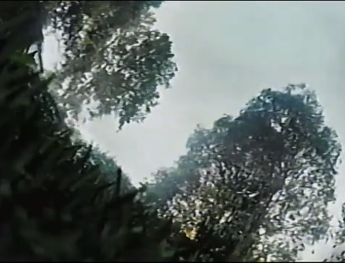 Backrooms Movie Updates tweet media