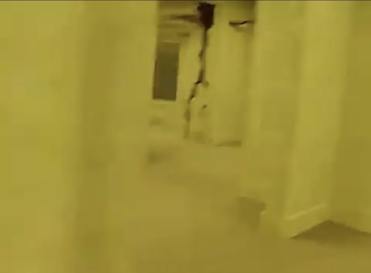 Backrooms Movie Updates tweet media