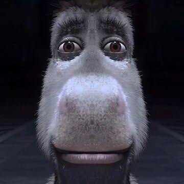 Tayfa 🪻(طَيْفَـةٌ) tweet media