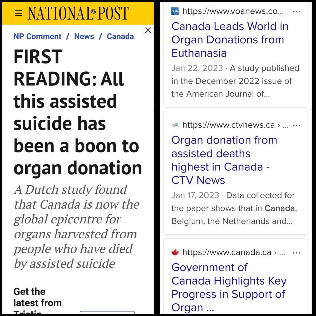 Found_Alive tweet media