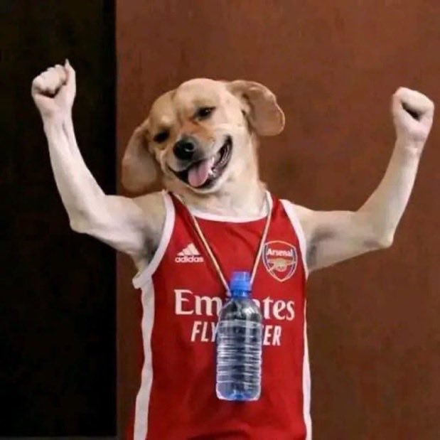 Not Gianni Infantino tweet media