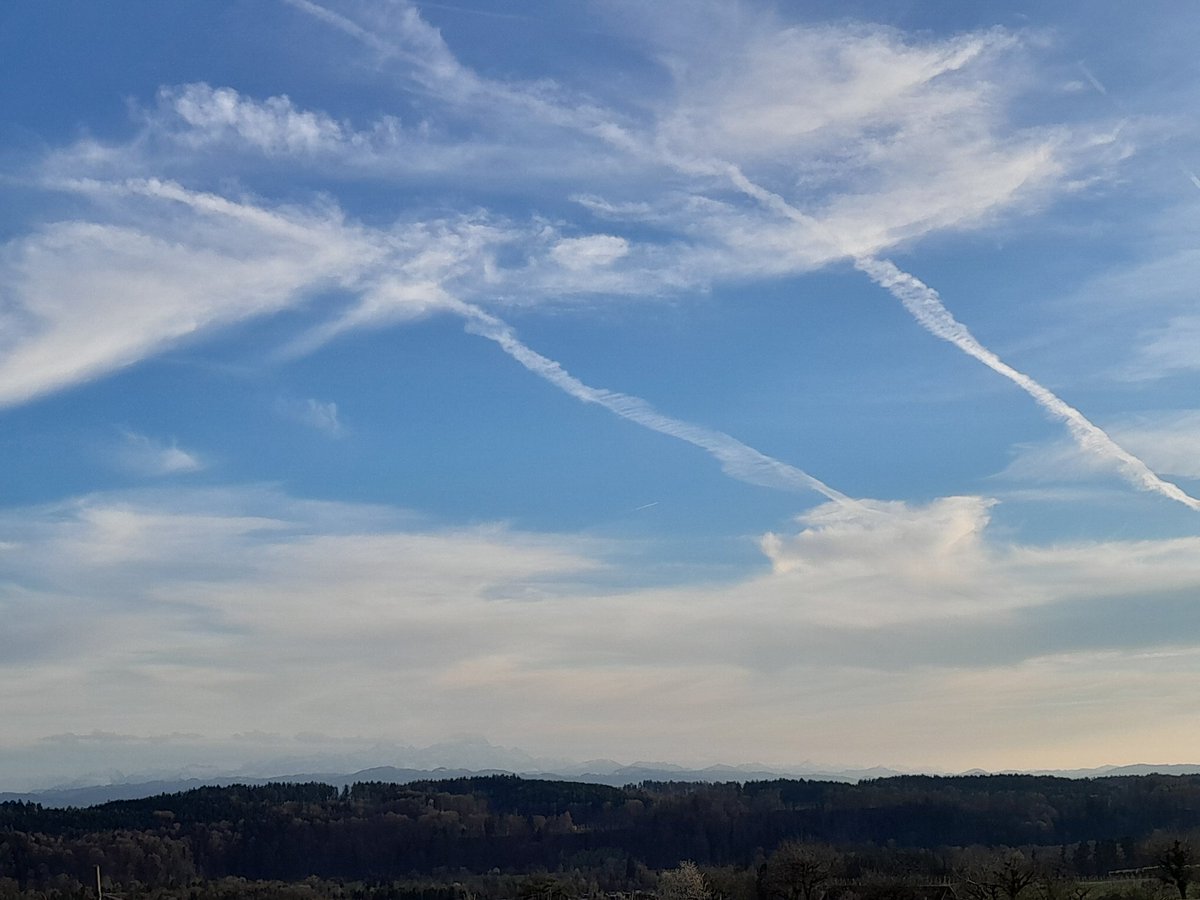 geistfunkenatom's tweet photo. @Bloominje @birgittasauer1 Von Magdeburg bis zum Bodensee ein Geschmiere😪 https://t.co/2dl6Kjn2xg