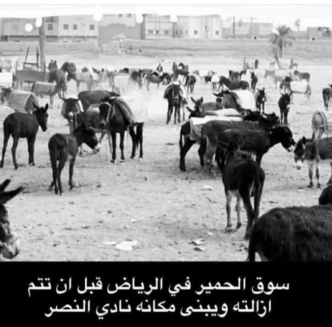 الحُر الجيري tweet media