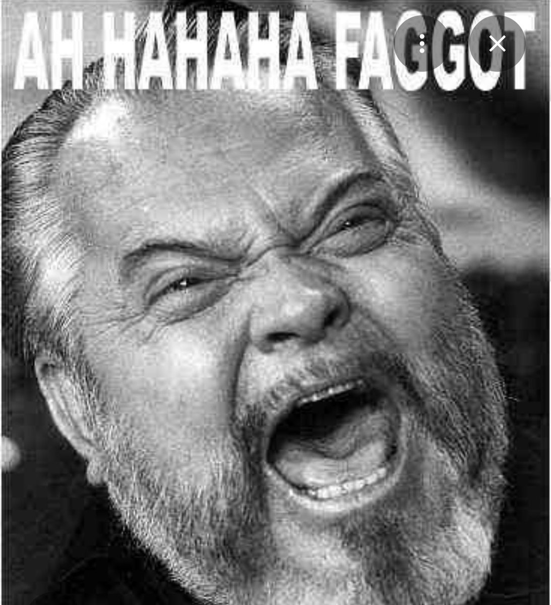 Liquidity Lizard🦎🪙 tweet media