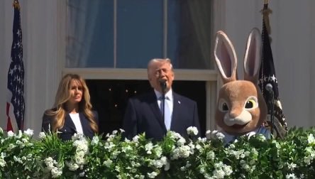 Embajada de Irán en España tweet media