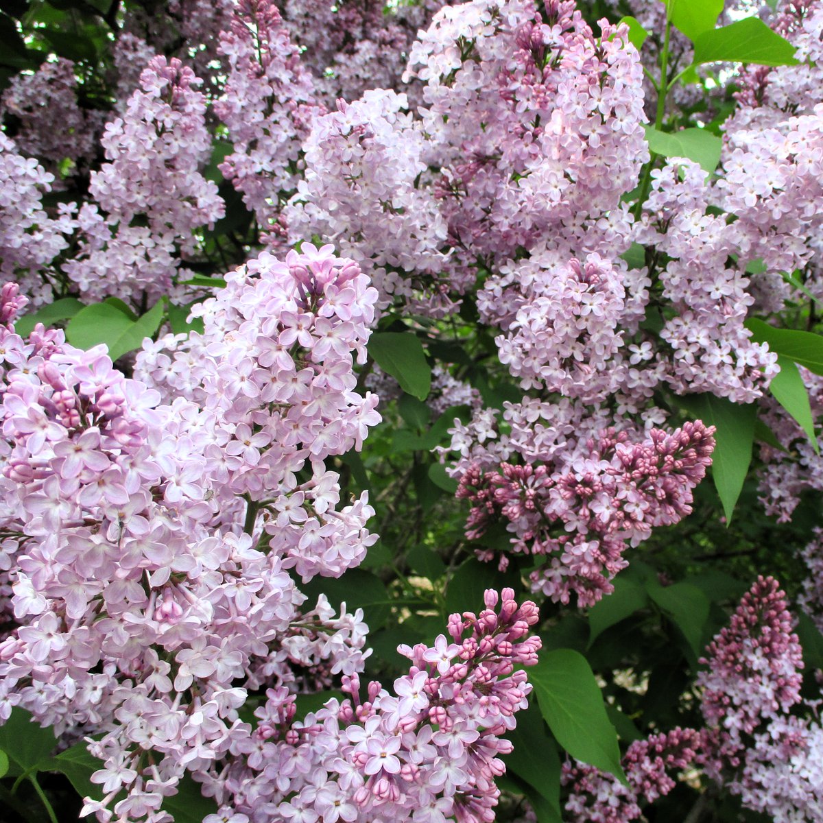 Rita Krug tweet media