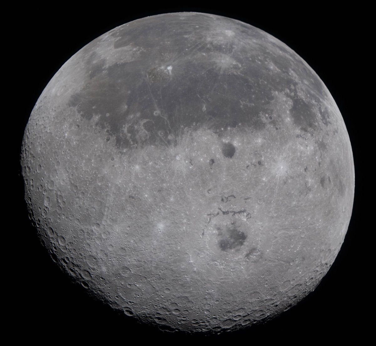 Jason Major tweet media