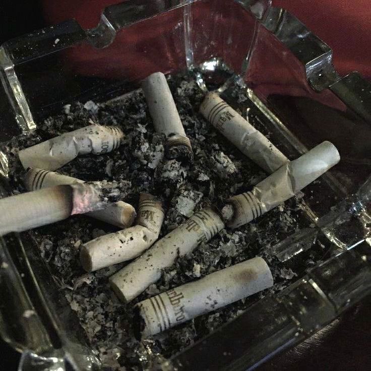 spinner🕷️ tweet media