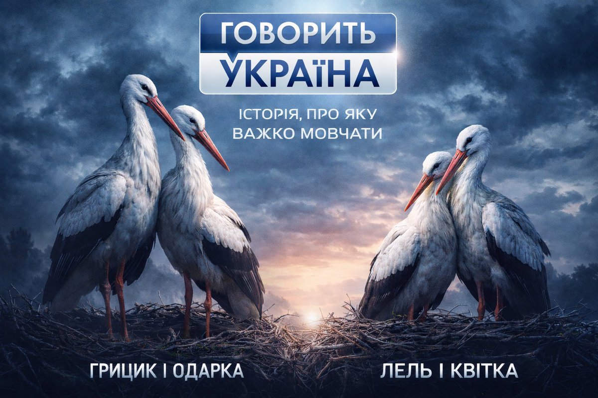 Лелека Грицько tweet media