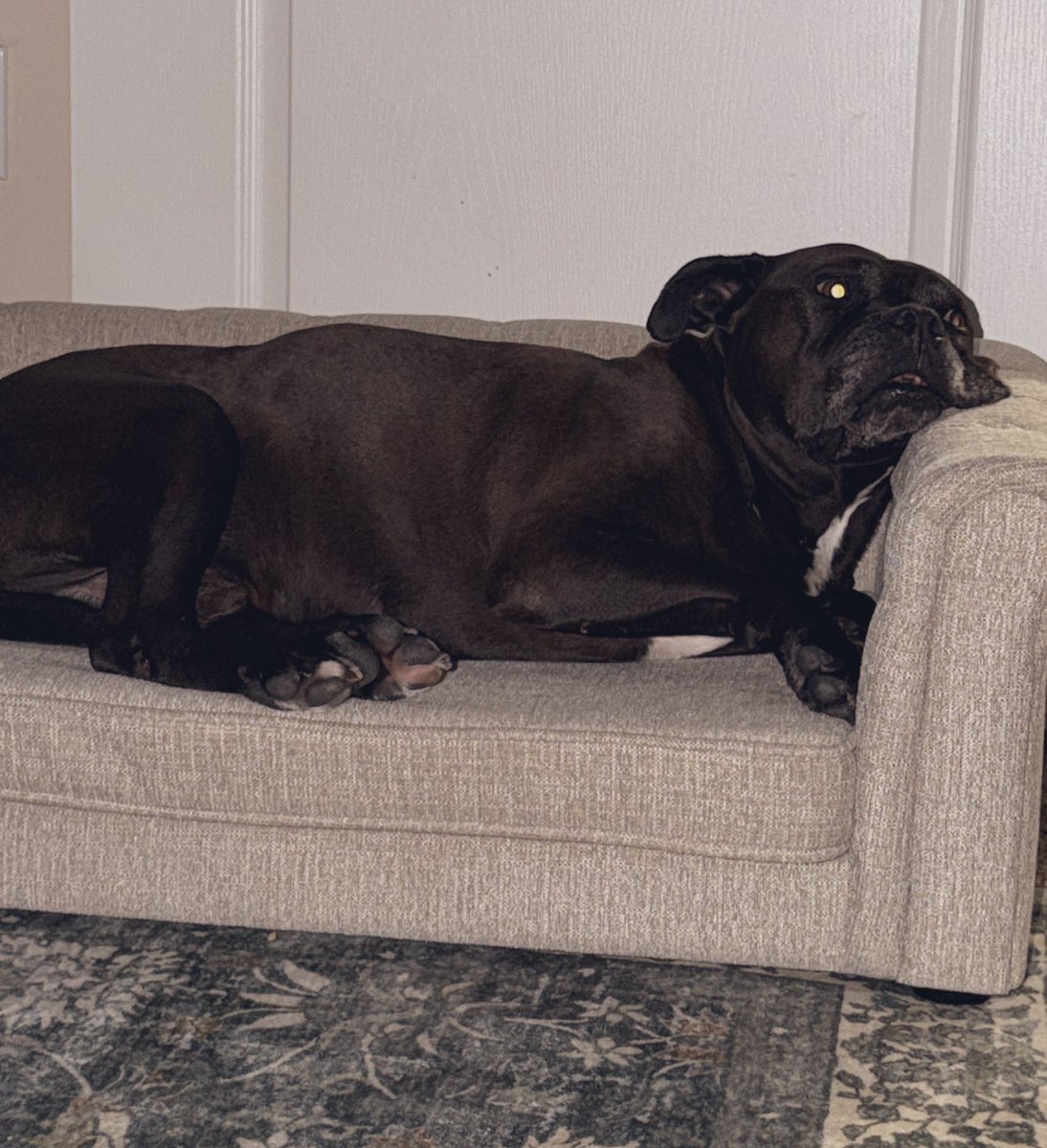 Stephanie Cavinder tweet media