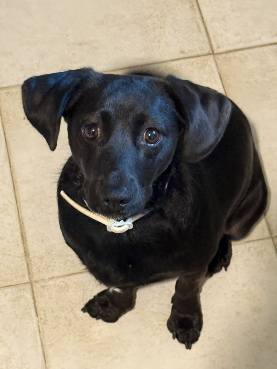 Noesferat tweet media