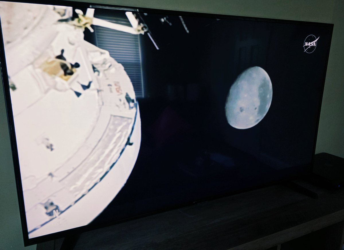 🍹 Princess Consuela Banana-Hammock tweet media