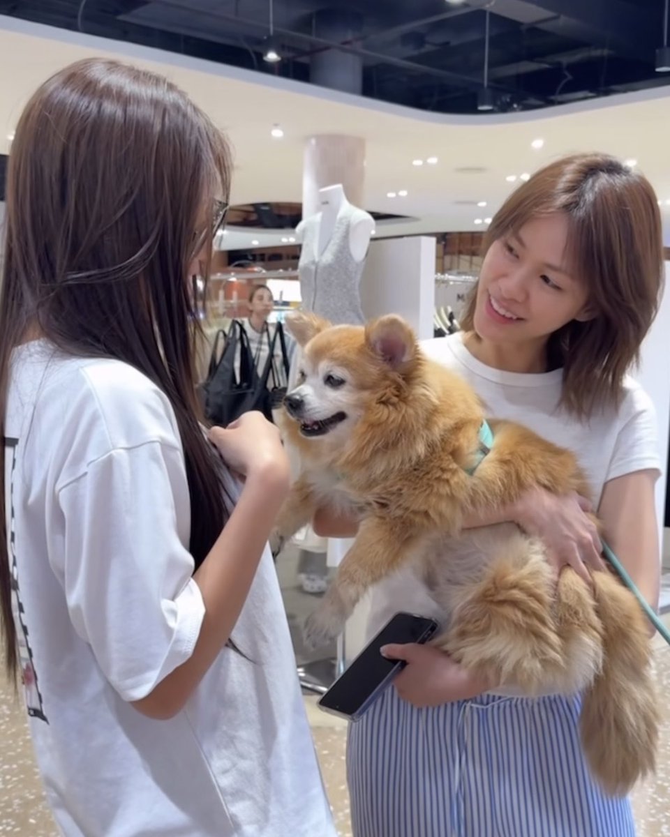 dsy ᯓ♡ tweet media