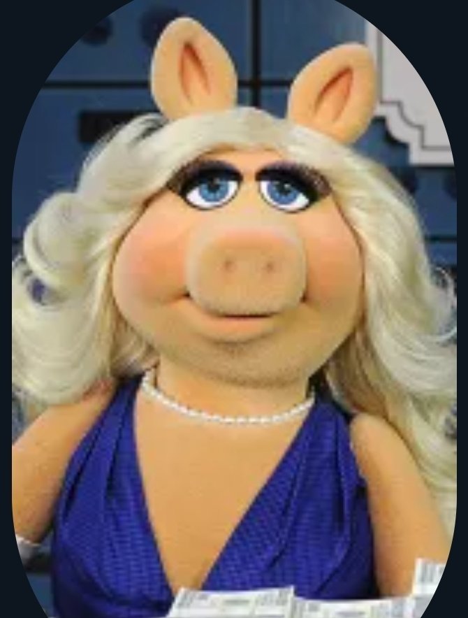 StreetFrogCrypto tweet media