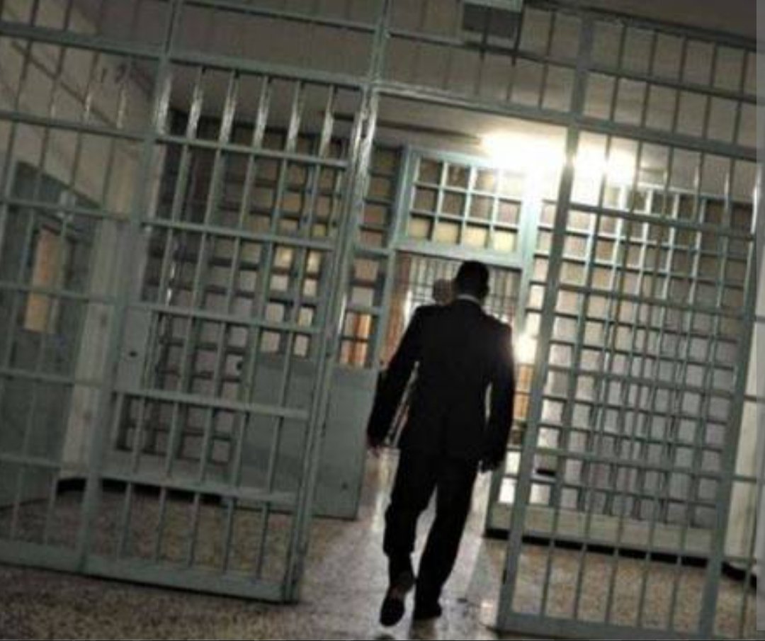 Mitch Pal tweet media