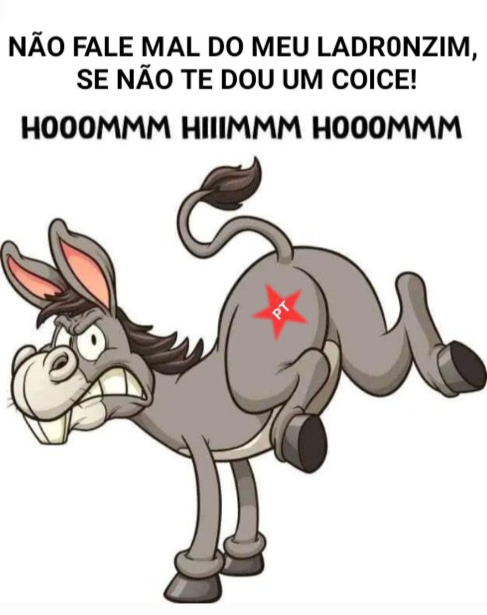 zévoltando tweet media