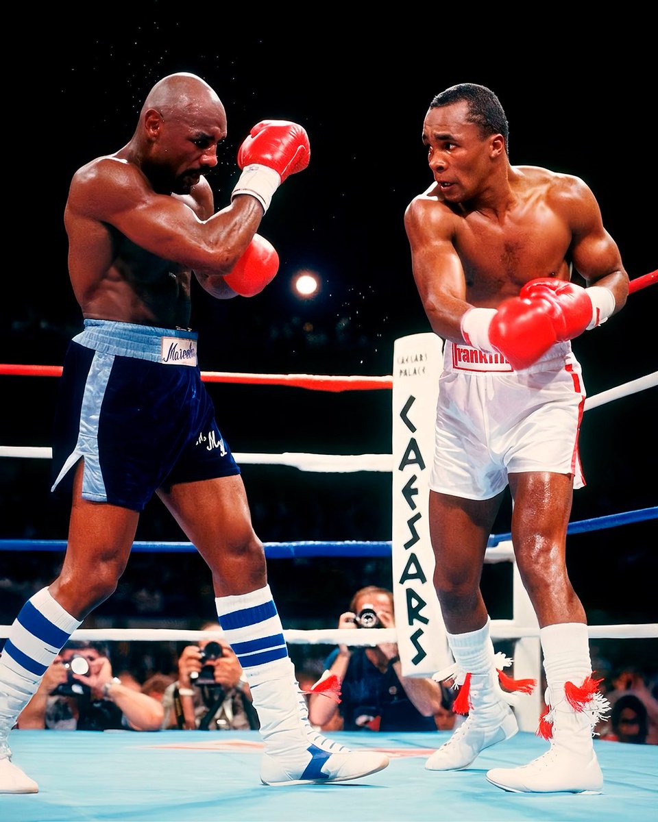 World Boxing Council tweet media