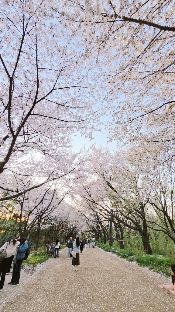 Victoria Cheng (ChubbyNinja) tweet media