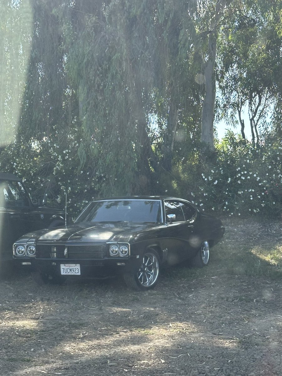 dom garcia🇲🇽 tweet media