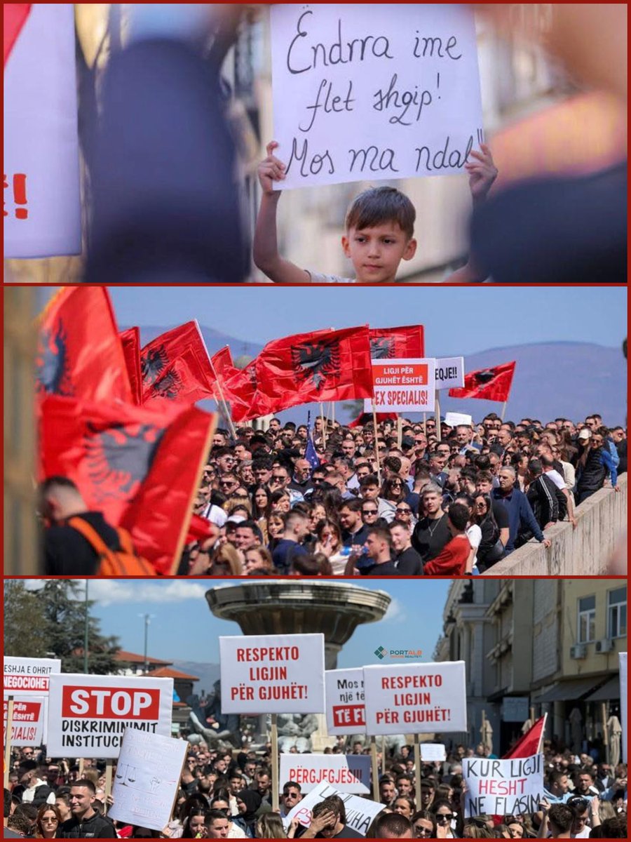 Harry Bajraktari tweet media