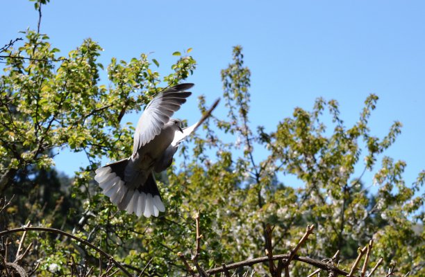 Marcel Stadler tweet media