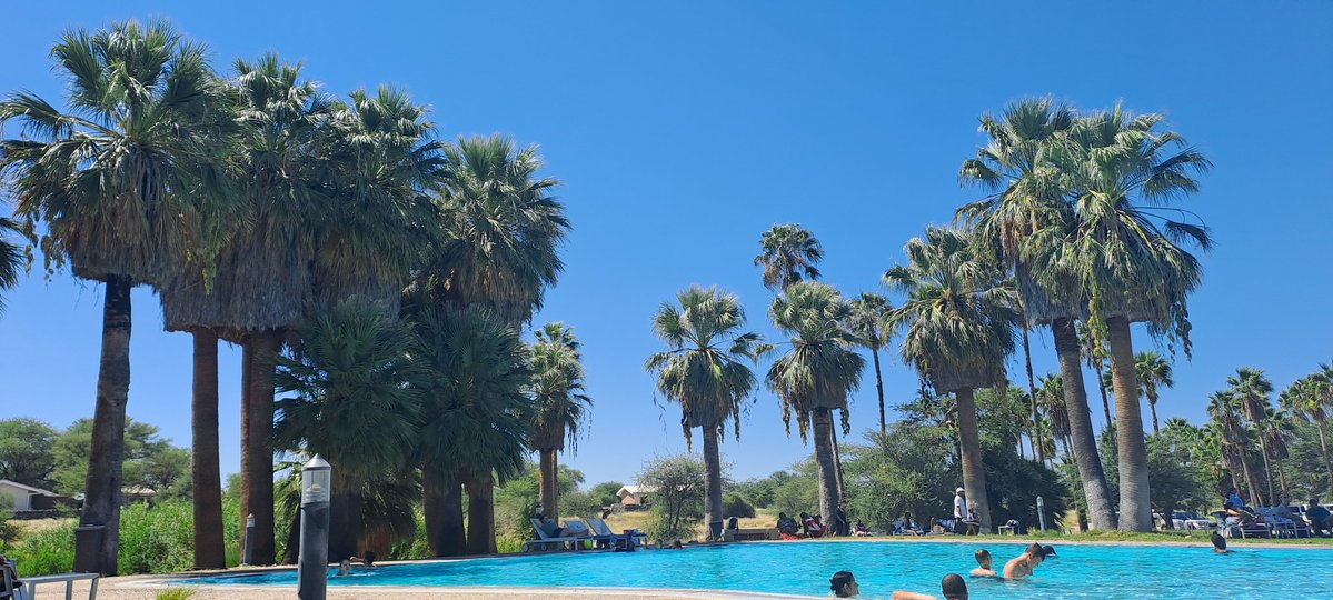 MannyR76 tweet media