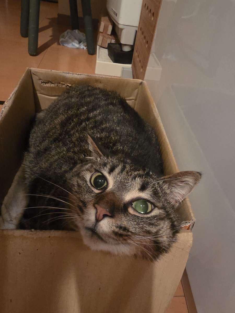 はる・O・うぇん tweet media