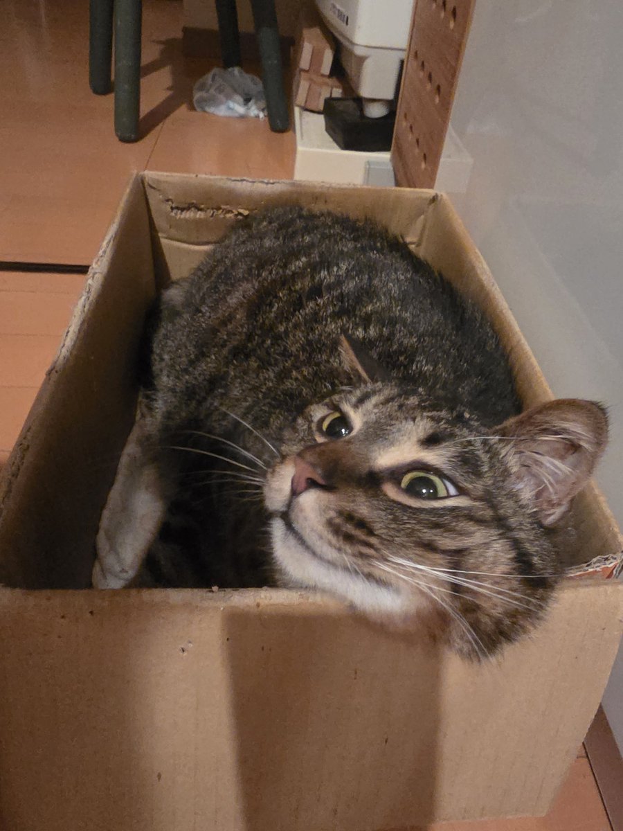 はる・O・うぇん tweet media