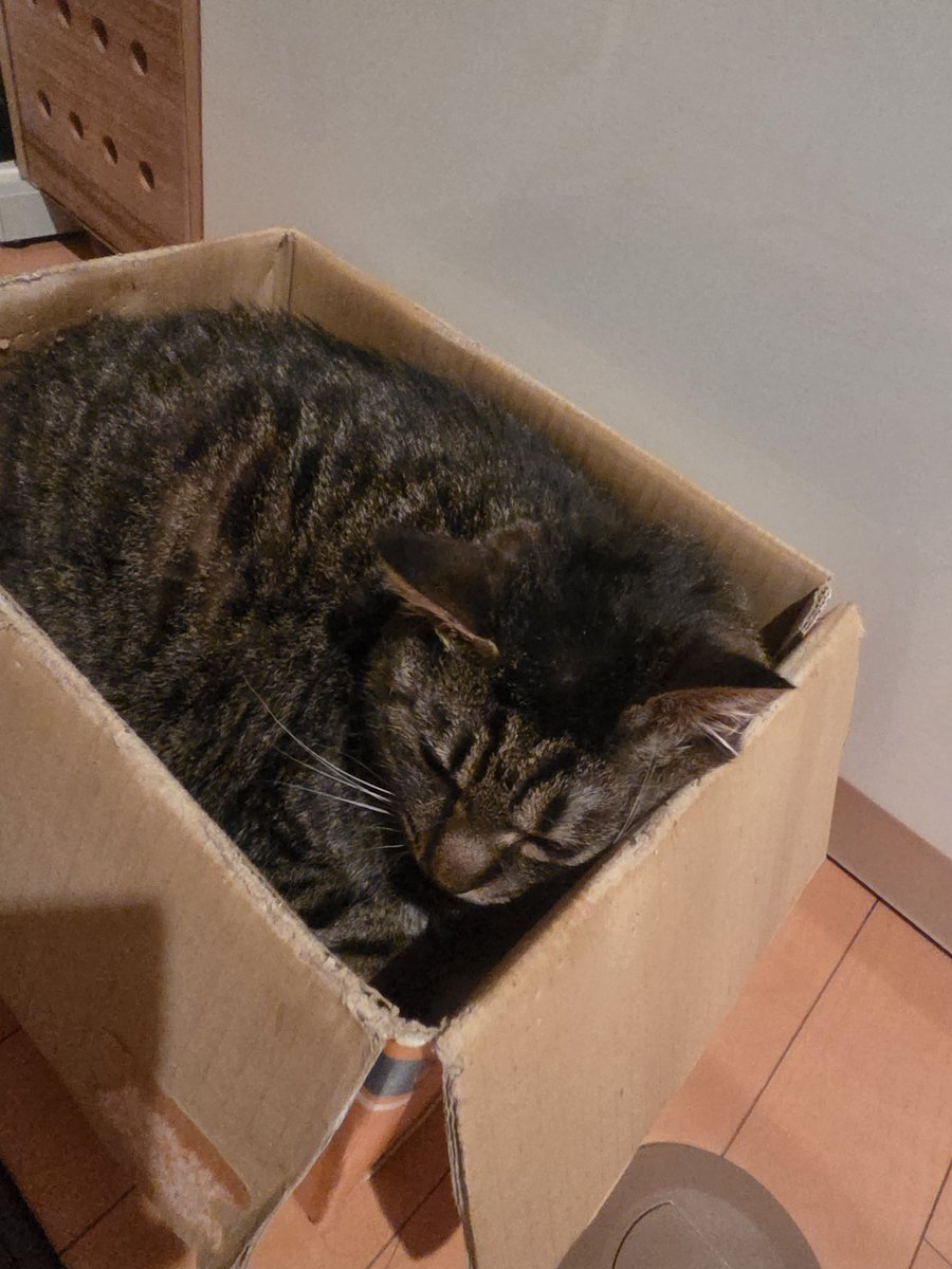 はる・O・うぇん tweet media